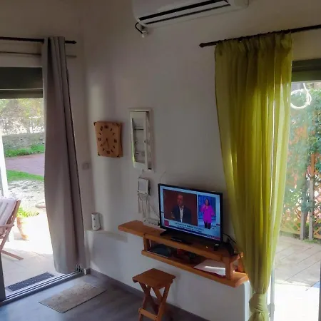 Apartment Artist's Loft