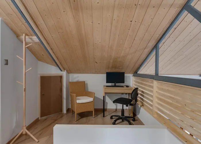 公寓 Artist's Loft *